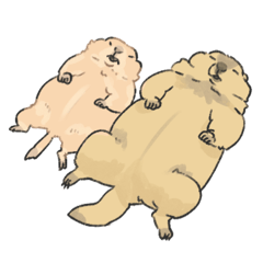 嫁の落書きのげっ歯ーたち