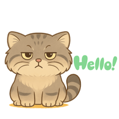 snra_to_____20260210091729