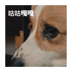 Yu的貼圖小寶藏