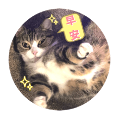 我是小妮(⁎⁍̴̛ᴗ⁍̴̛⁎)