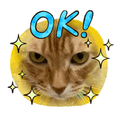 我的日常生活(*¯︶¯*)