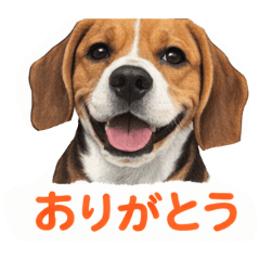 uupa_20260209202055
