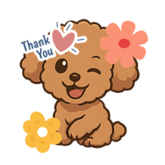 Asadayos_20260210102506