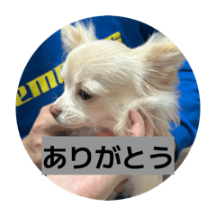 uemu_20260210103110
