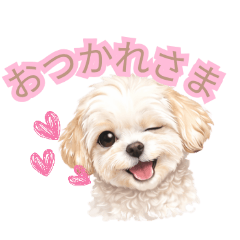 lu-&ray_20260210112620