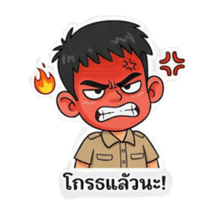 Yachtinwza_20260209215920