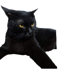 DuangDee_20260209225848