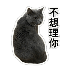 心裡那句「閉嘴啦」不敢說出口？