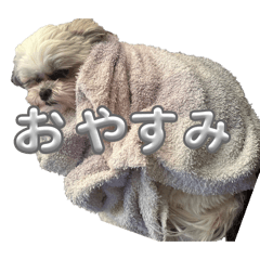 Rin0206_20260209171134