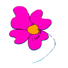 flower cat and orange