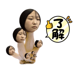 towako_20260207092337