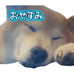 s121120_20260209165127