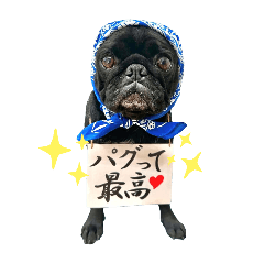 パグのWaku