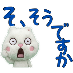 Polite Angora Rabbit 11