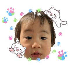 Hanabi_20260209172937