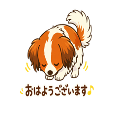 Yurukawa Kooikerhondje (Polite)