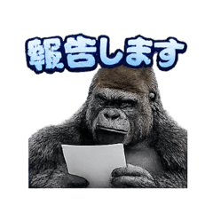 shuko_20260209183210