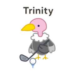 Trinity_20260209193144