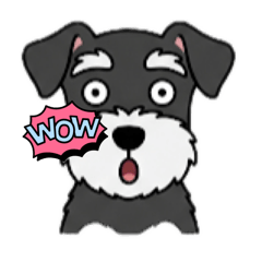 Hirock_20260210072922