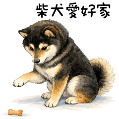 A real Shiba Inu lover