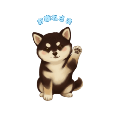 Everyday Mameshiba Youll Use Forever