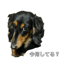 nanachan_20260209204541