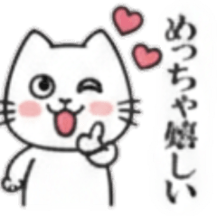 A charming white cat