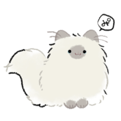 深夜のネコチャン