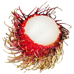 Rambutan Collection
