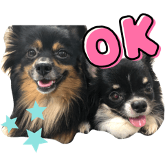 NATSUMI_20260209213628