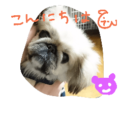 Pekingeselove