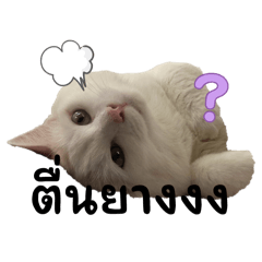 MojiMoji_20260209233050