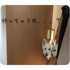 Konoha-ha_20260209214621