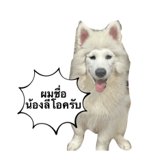 KENJI_20260209235832