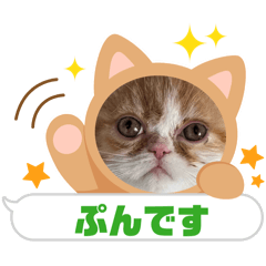 masa_20260209214653