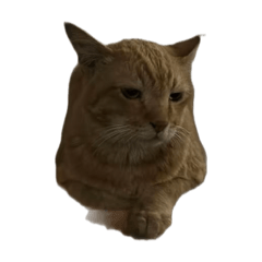 Rattana_20260210014839