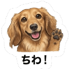 Daily Life of Nay-sama