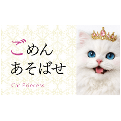 Cat Princess's Daily Conversation