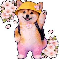 動く★春を感じる春柴犬★