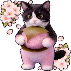 動く★春を感じる春ハチワレ★