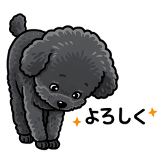 Black Toy Poodle's Daily Life Stickers