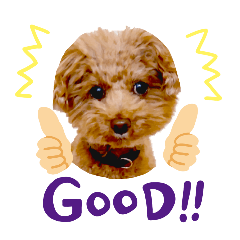 chacha_20260209221459