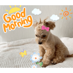 CoCoRo_20260209222222