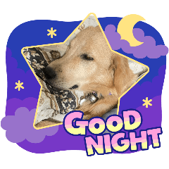 Jiraporn_20260210113512