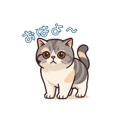 momokananase_20260207130812