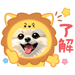 temachan_20260209224814