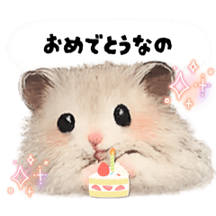 Hamster fan_20260209224643