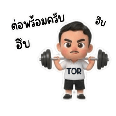 Tor Everyday Life