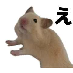 asuka_20260207110435