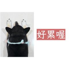 獨眼黑糖